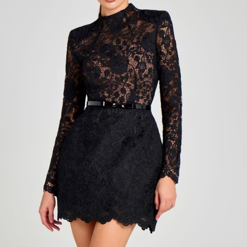 Nadine Merabi Addison Long Sleeve Lace Overlay Cocktail Minidress in size 6 NWT - Picture 2 of 11